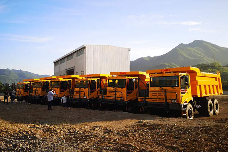 Metal Mining